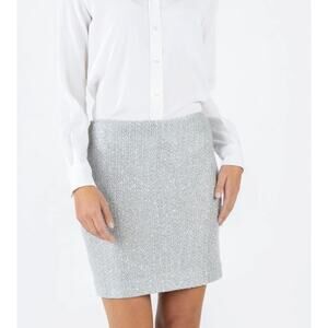 Amina Rubinacci Skirt Wool Cashmere Light Grey 4
